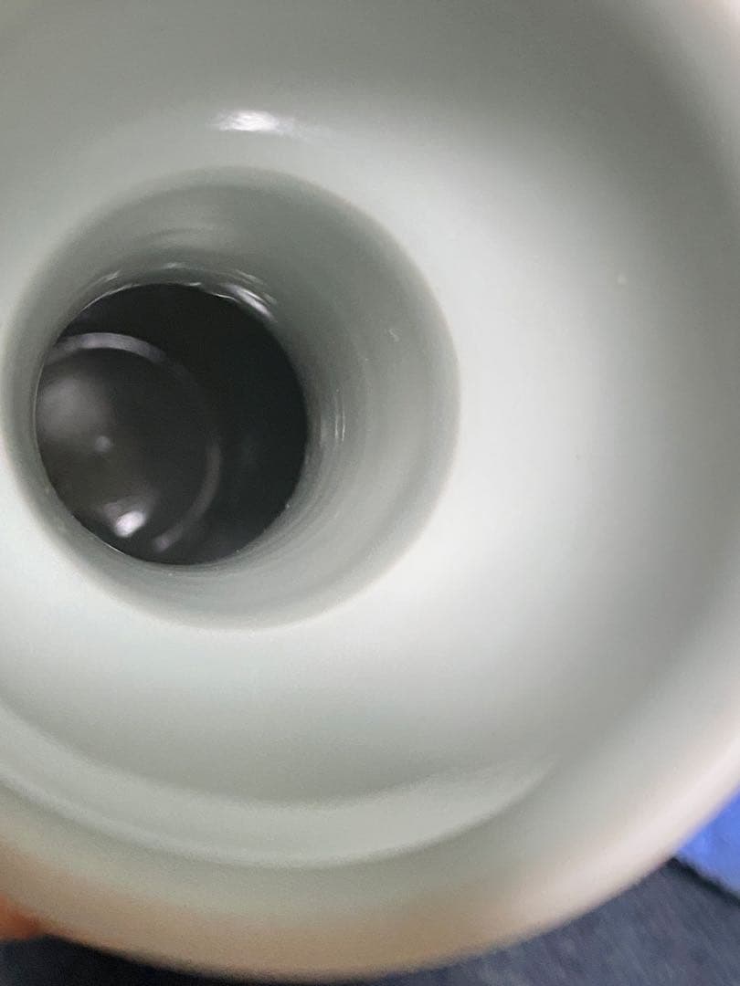 清朝　中國個美術ドラゴン模様の陶磁器花瓶　骨董品