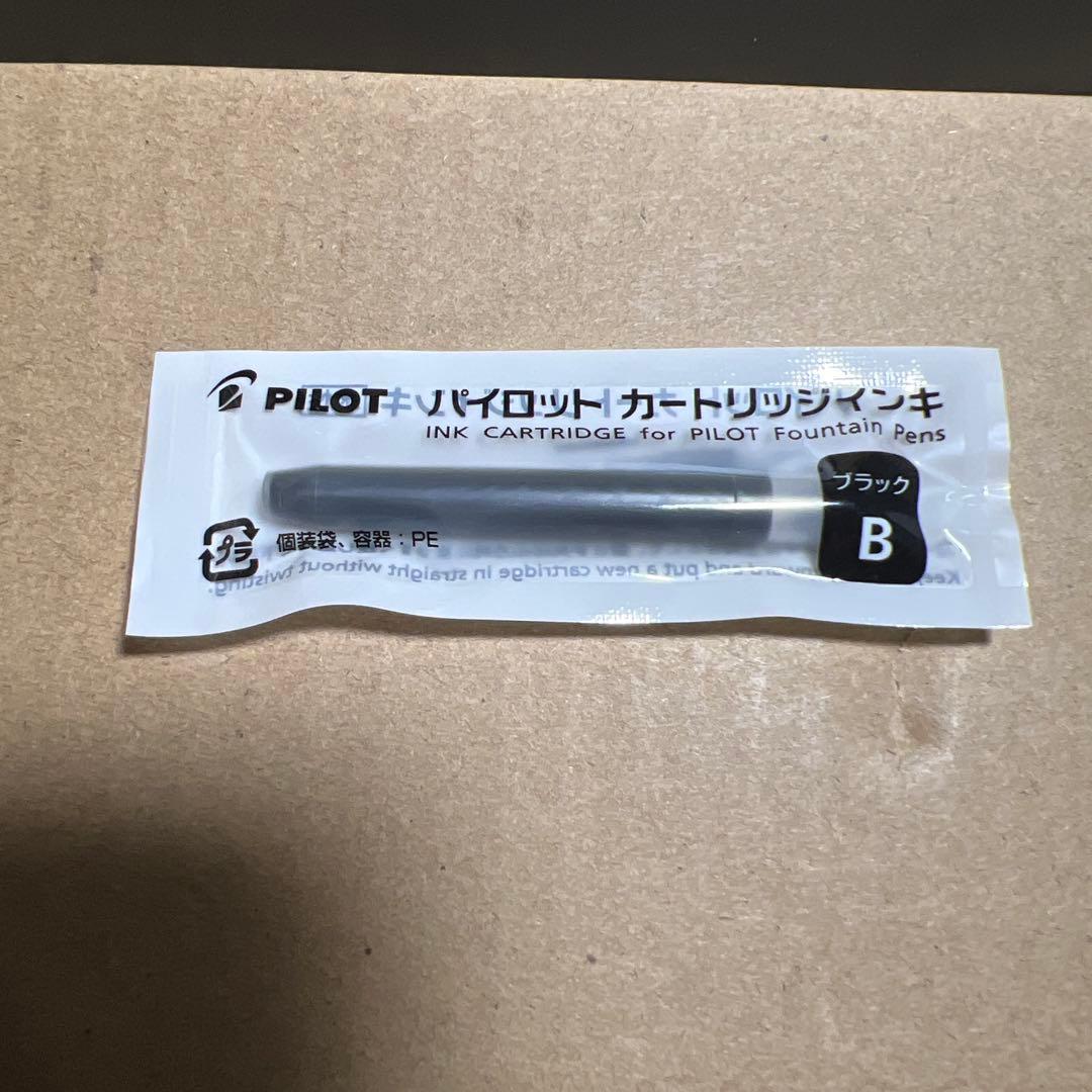 PILOT万年筆 マンネンヒツカスタム NS BM ブラック FKNS1MRBM