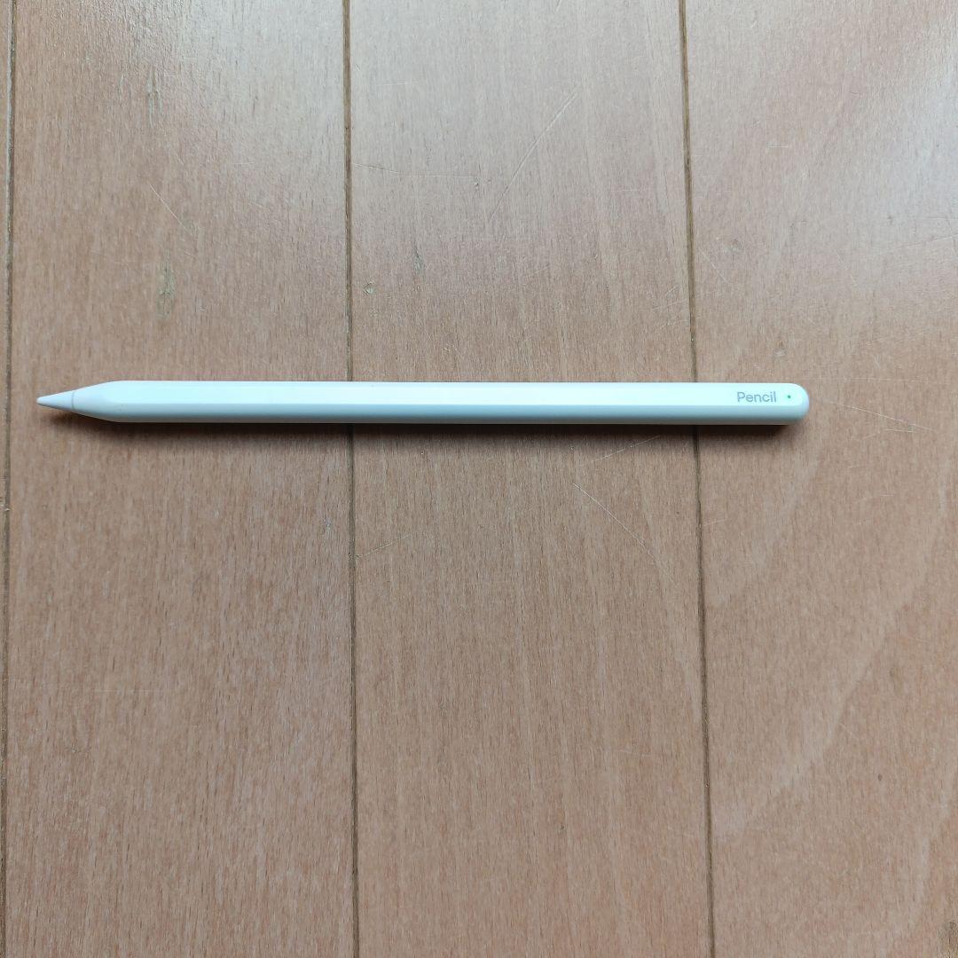 iPad Pro 11インチ 256GB　セルラーモデル　 おまけ付き