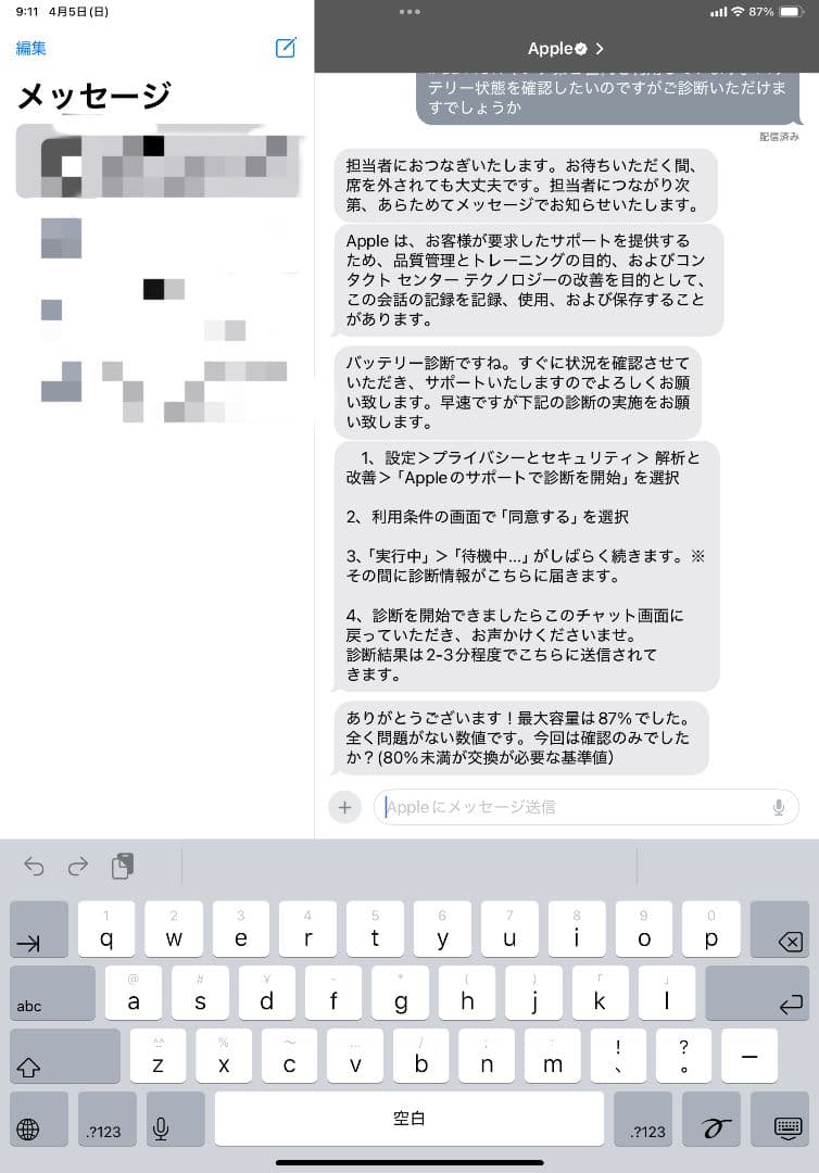 iPad Pro 11インチ 256GB　セルラーモデル　 おまけ付き
