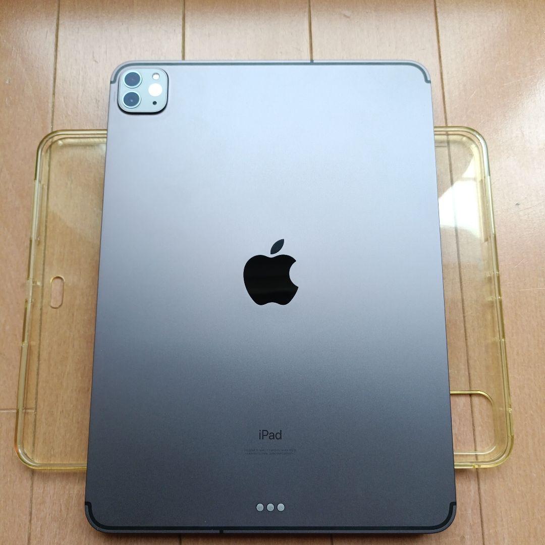 iPad Pro 11インチ 256GB　セルラーモデル　 おまけ付き