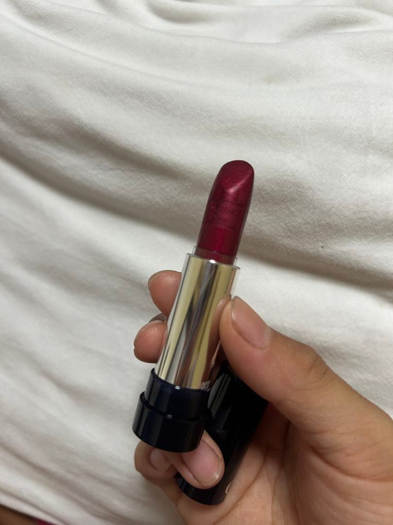 Dior 2021 クリスマスコフレ リップケース リップ