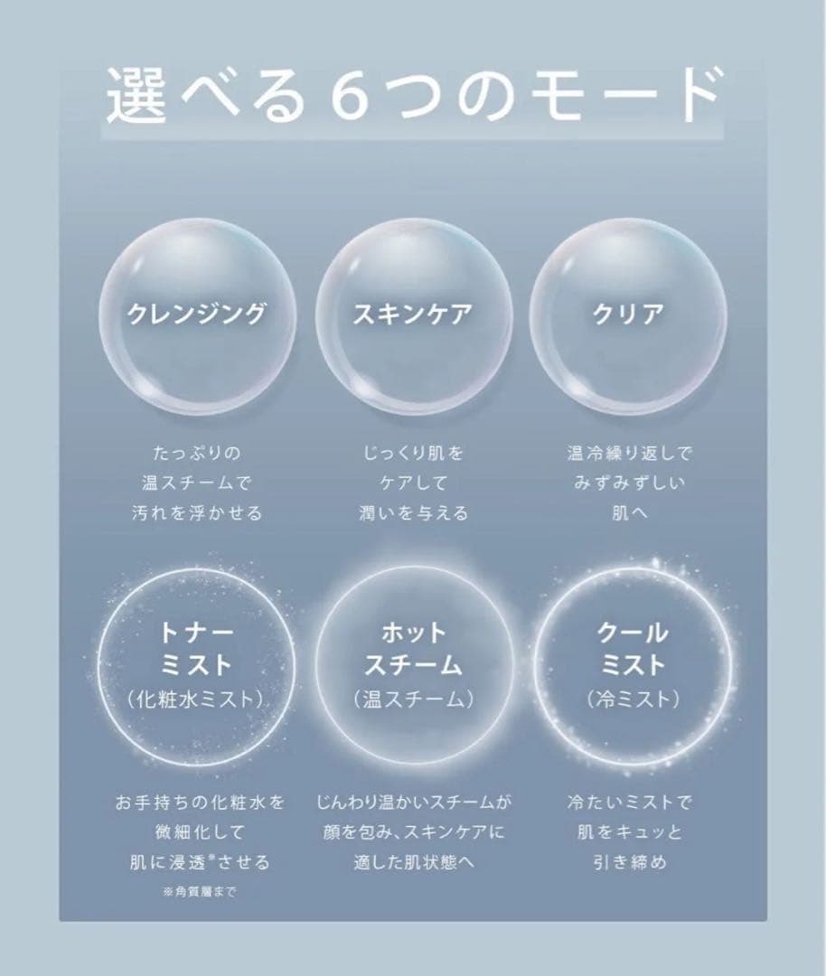 SALONIA サロニア　ピュアブライトスチーマー
