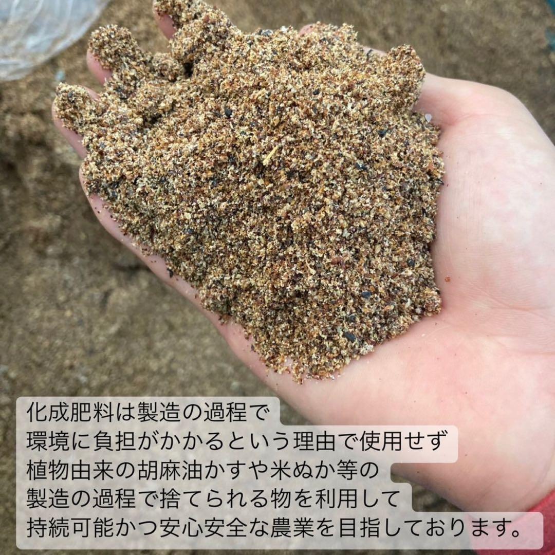 【宇治抹茶】便利な個包装スティック100本入り！溶かすだけ簡単パウダータイプ