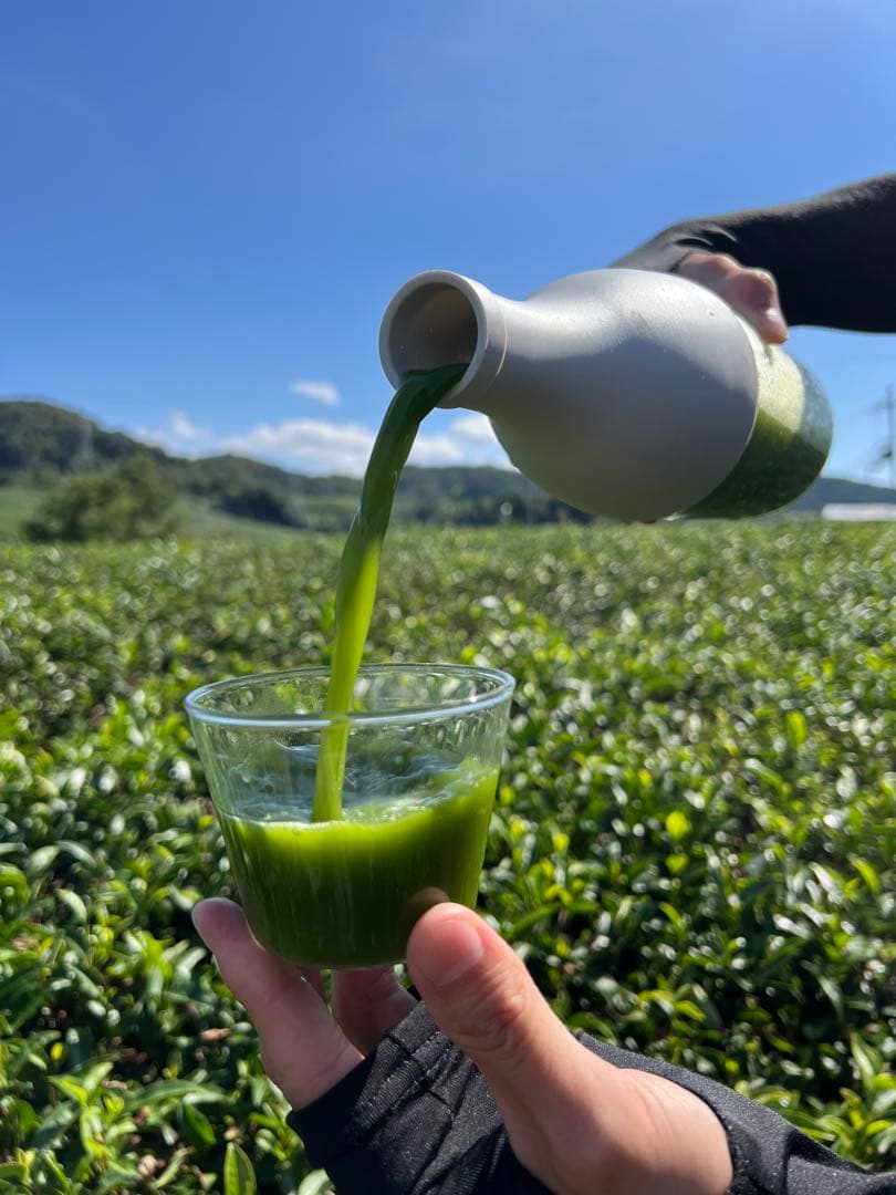 【宇治抹茶】便利な個包装スティック100本入り！溶かすだけ簡単パウダータイプ