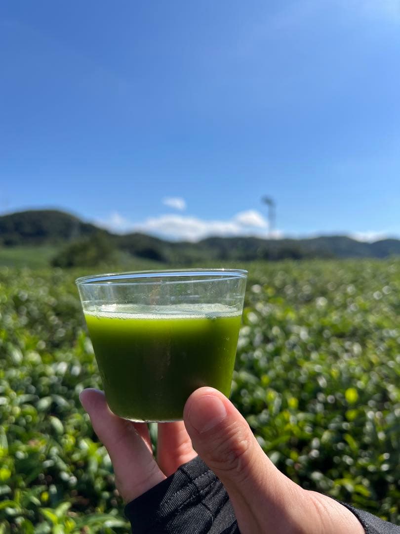 【宇治抹茶】便利な個包装スティック100本入り！溶かすだけ簡単パウダータイプ