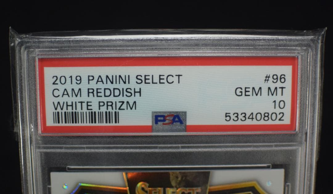 その他 2019 Cam Reddish Select White Prizm NBA