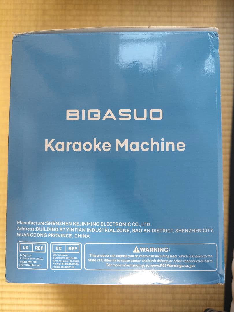 BIGASUO KA215 Pro Max カラオケマシン