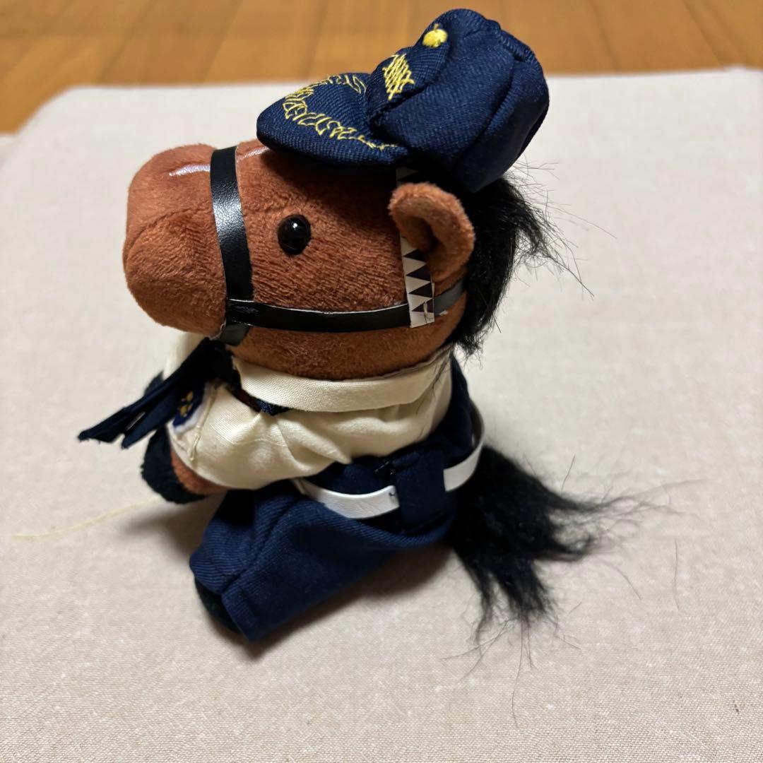 アイドルホース❣️ドレス❣️マント❣️
