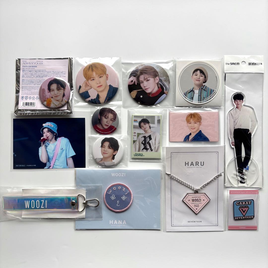 seventeen バパケ　ruby ウジ　キッチンカー　缶バッジ　ピケット
