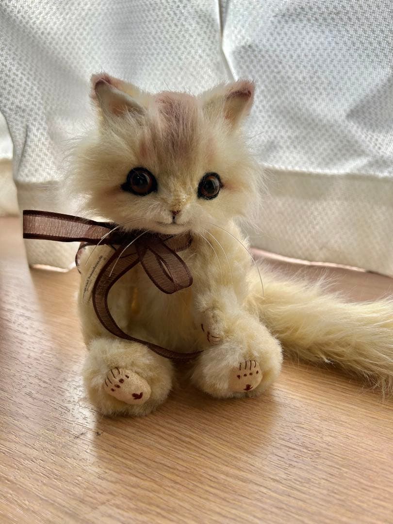 テディ猫ちゃん