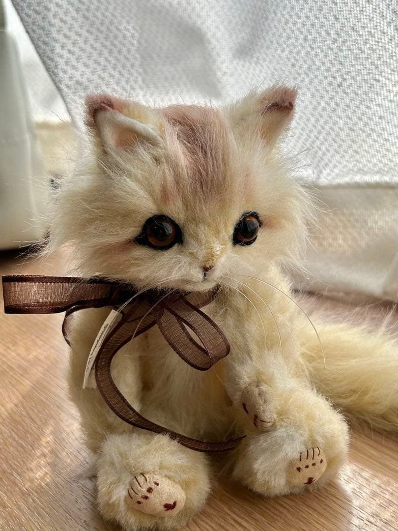 テディ猫ちゃん