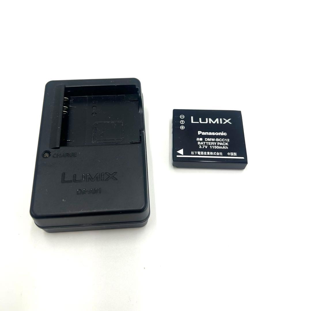LUMIX フルHD LUMIX DMC-FX77 専用ソフトケース付
