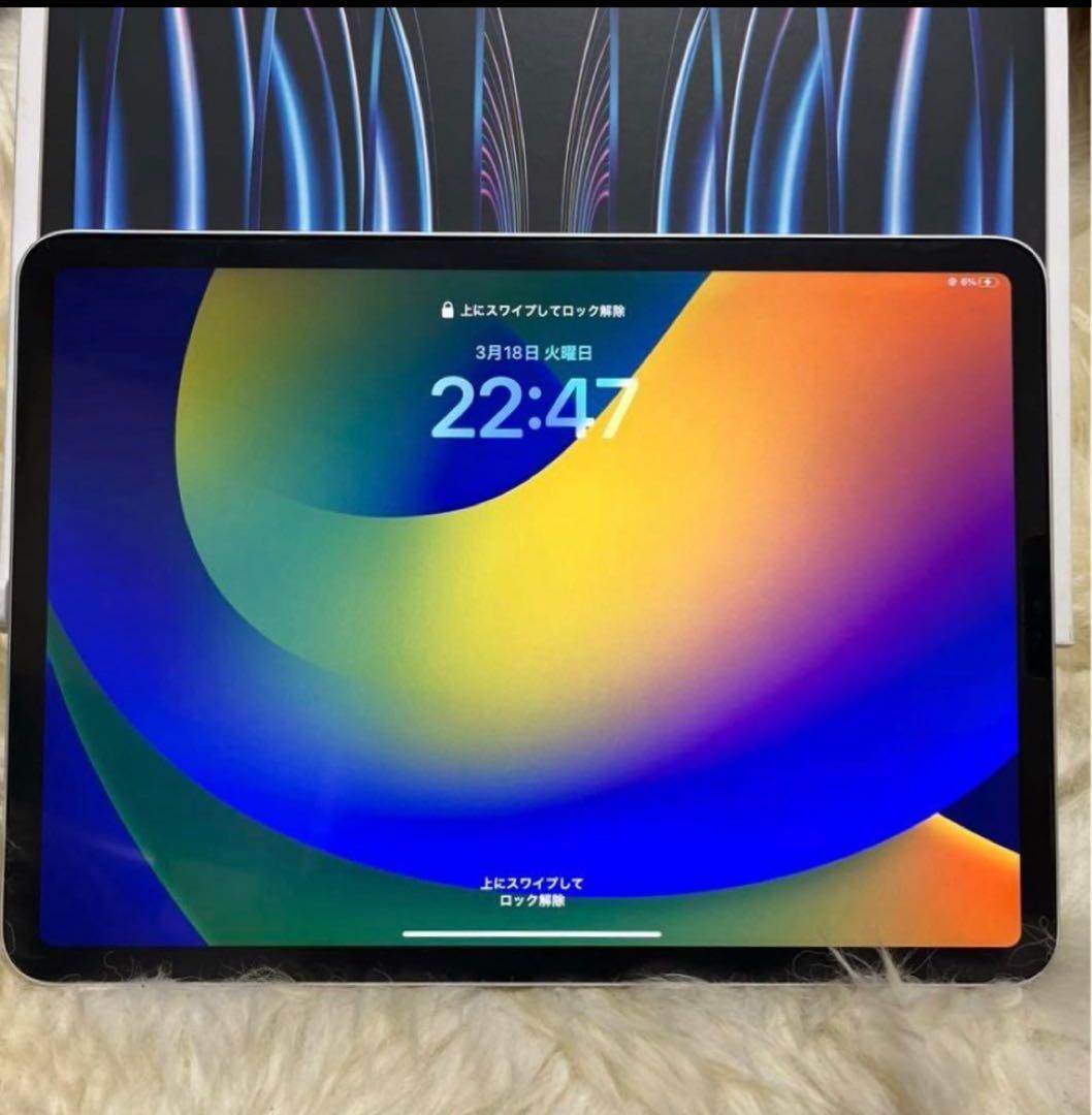 美品 Apple iPad Pro 第4世代11インチ 256GB Wi-Fi
