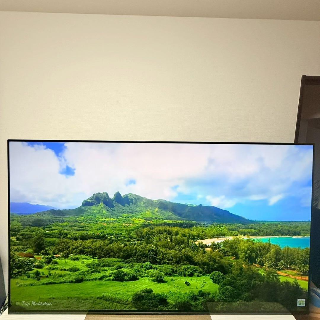 SONY BRAVIA 65型 有機ELテレビ KJ-65A9F 4K