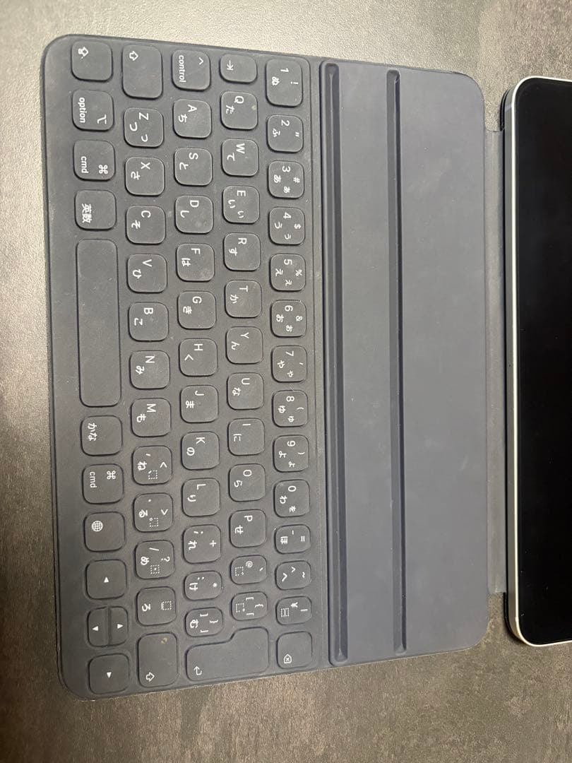 iPad Pro(第1世代) Wi-Fi＋Cellularモデル-シルバー