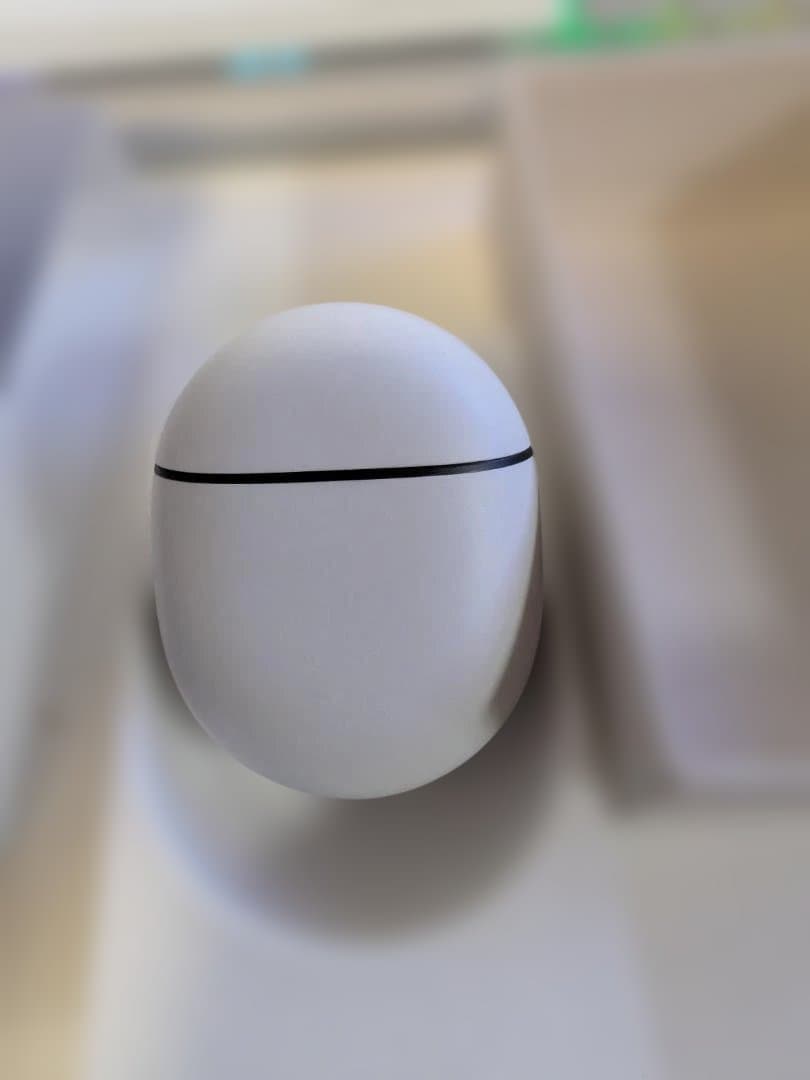 美品・完品Google Pixel Buds Pro 2（Moonstone）