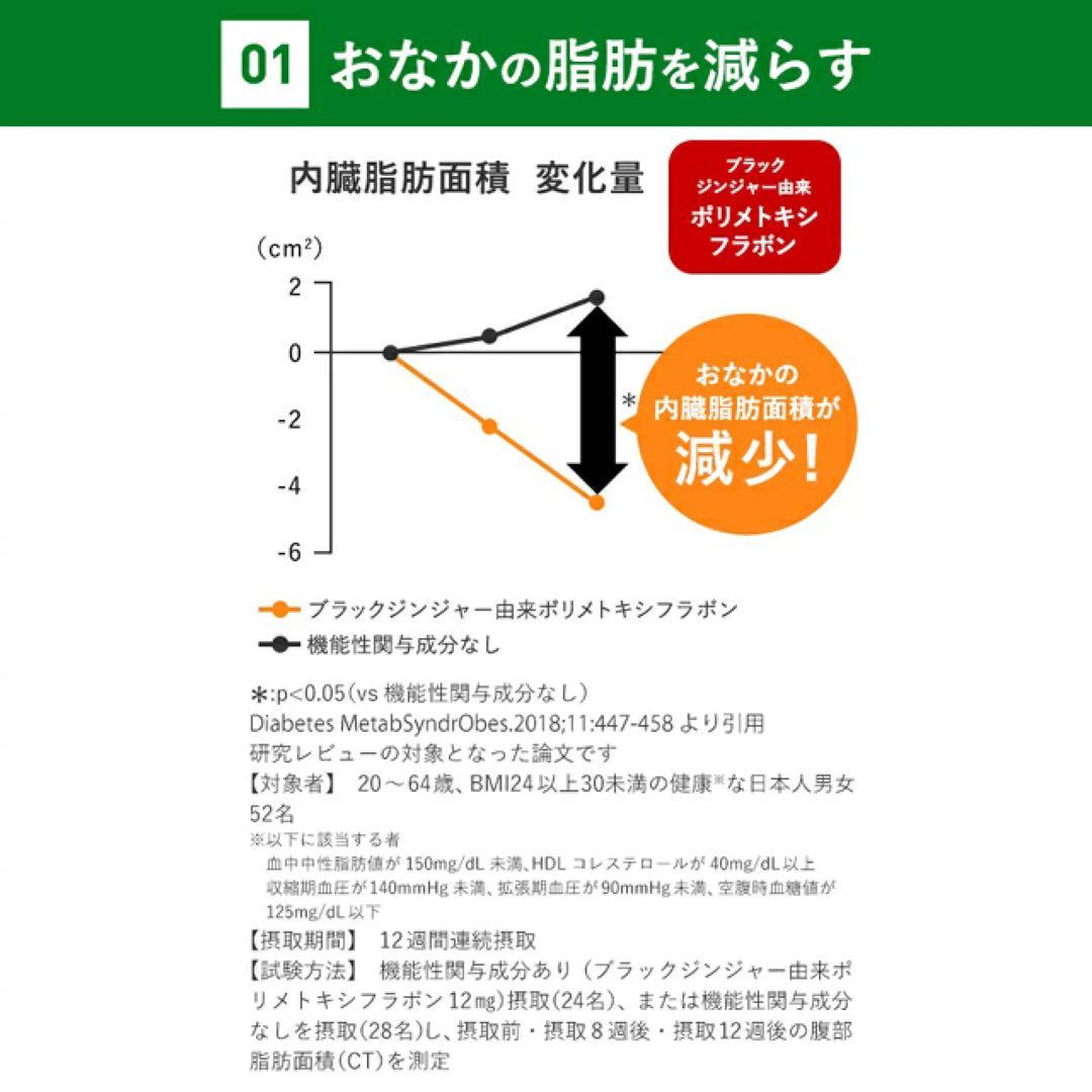 ファンケル 内脂サポート 30日分8袋〈240日分〉