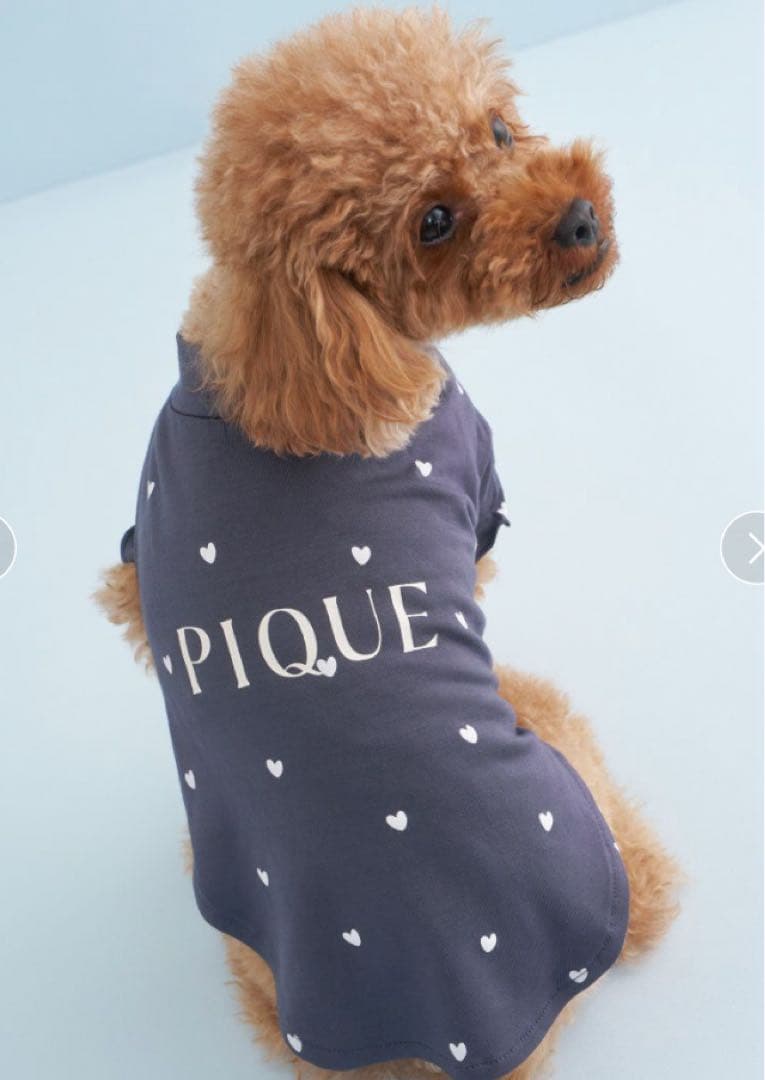 gelato pique ペット　犬服　ハート柄プルオーバー　S 2枚セット