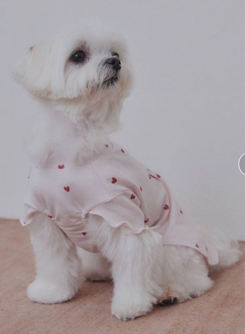 gelato pique ペット　犬服　ハート柄プルオーバー　S 2枚セット