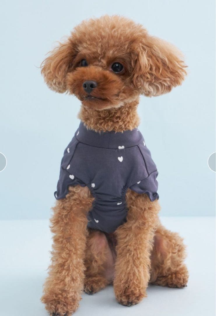 gelato pique ペット　犬服　ハート柄プルオーバー　S 2枚セット