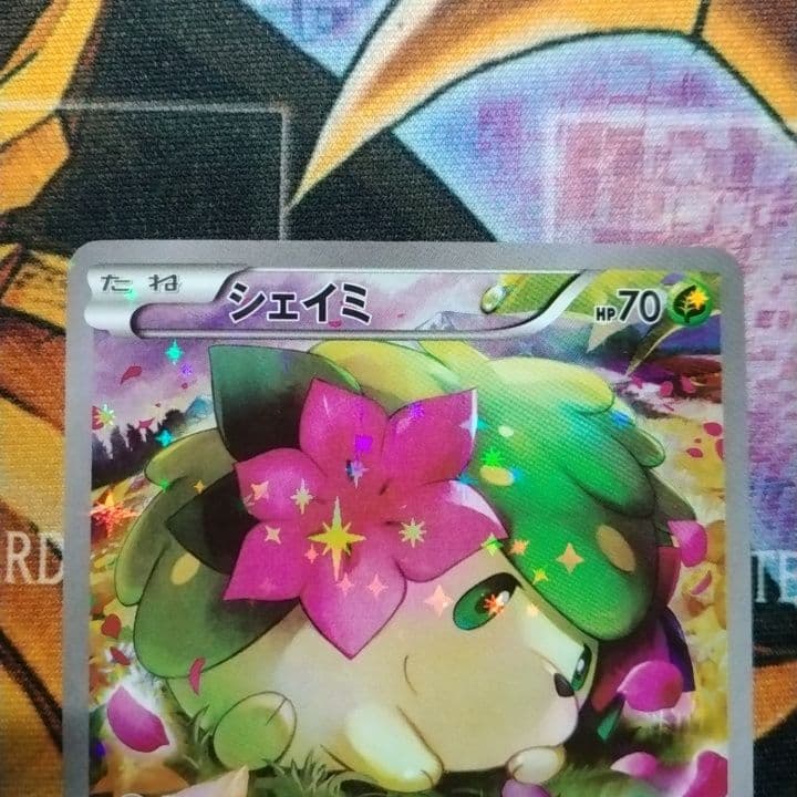 シェイミ　cp5 伝説キラコレクション