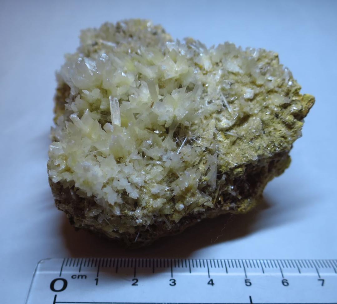 石膏　ジプサム　Gypsum　鉱物標本