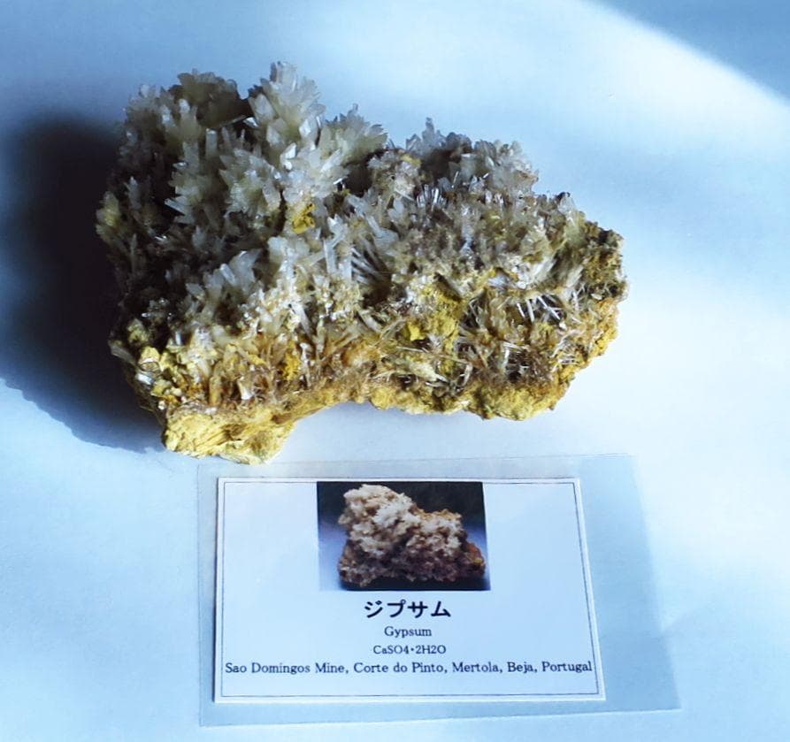 石膏　ジプサム　Gypsum　鉱物標本