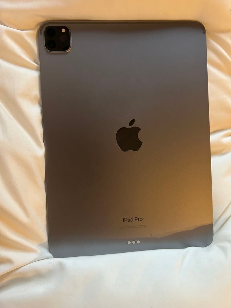 iPad Pro 11インチ 第4世代 256GB