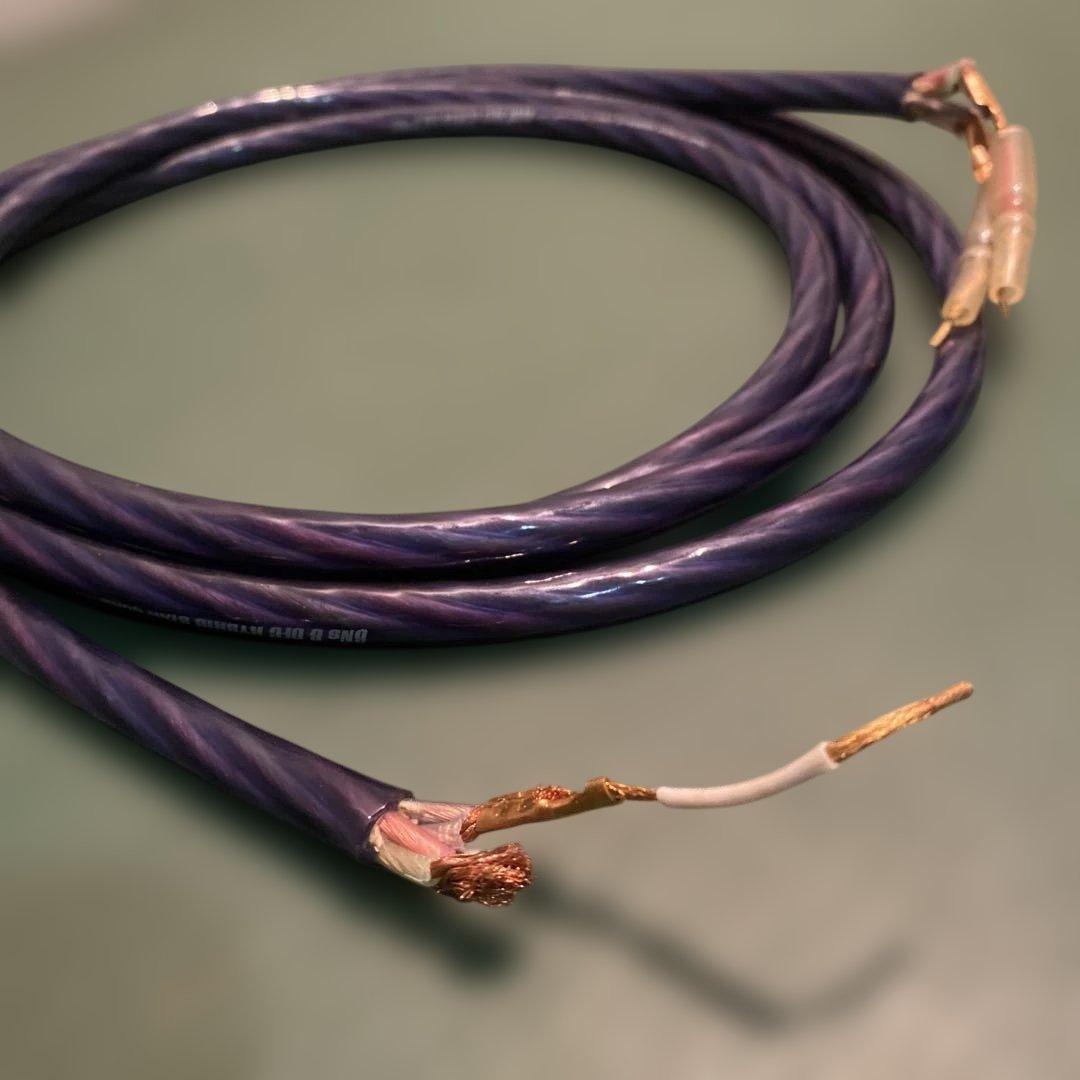 パイオニア6Ns & OFC HYBRID ケーブル2.5m ペア