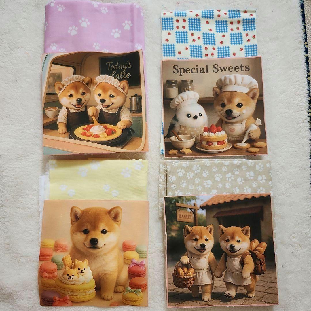 豆柴助
