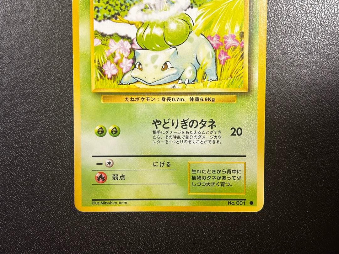 旧裏 フシギバナ フシギダネ エリカのフシギダネ 3枚セット ポケカ