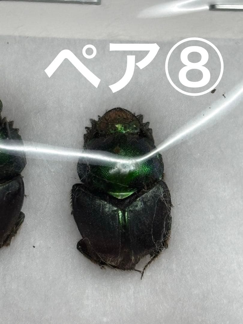 とも様リクエスト品セット