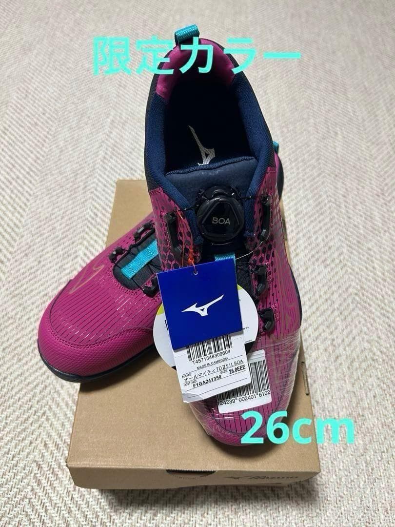 ラスト1点　新品　26.0cm 限定カラー　Mizuno BOAシステム安全靴