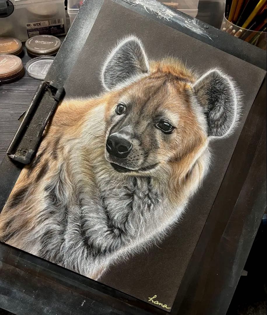 ブチハイエナ　色鉛筆画