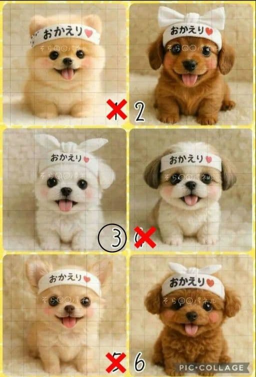 【3月】くるくる