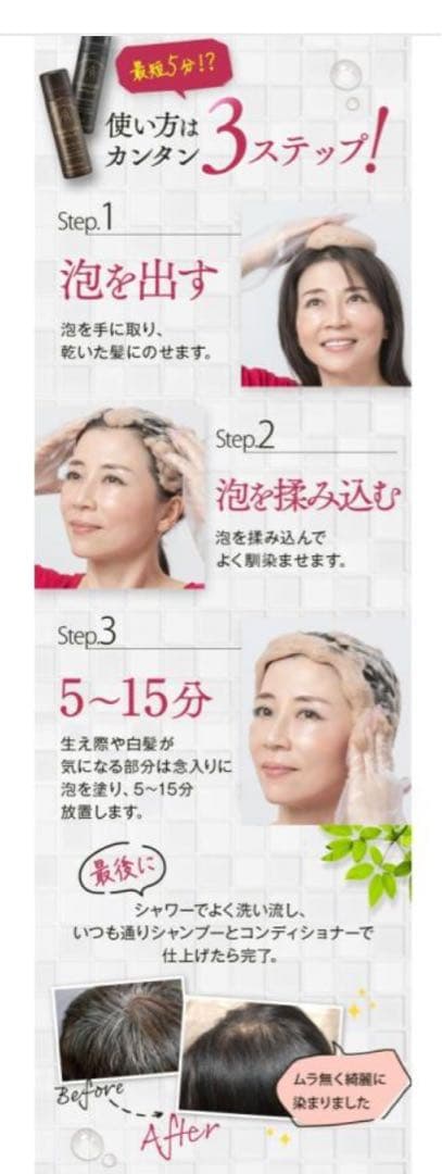ヘアリシェ ナチュラルエアリーカラー ブラック6本 泡タイプ白髪染め