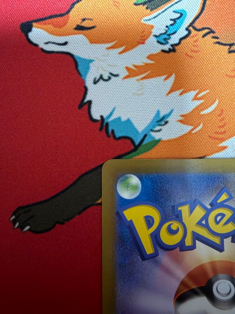ポケモンカード エリカの招待、ベルのまごころ