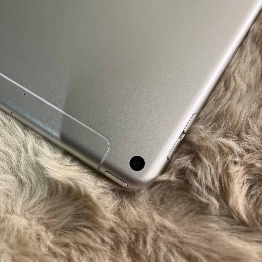 Apple iPad mini５Wi-Fi + Cellular シルバー 中古
