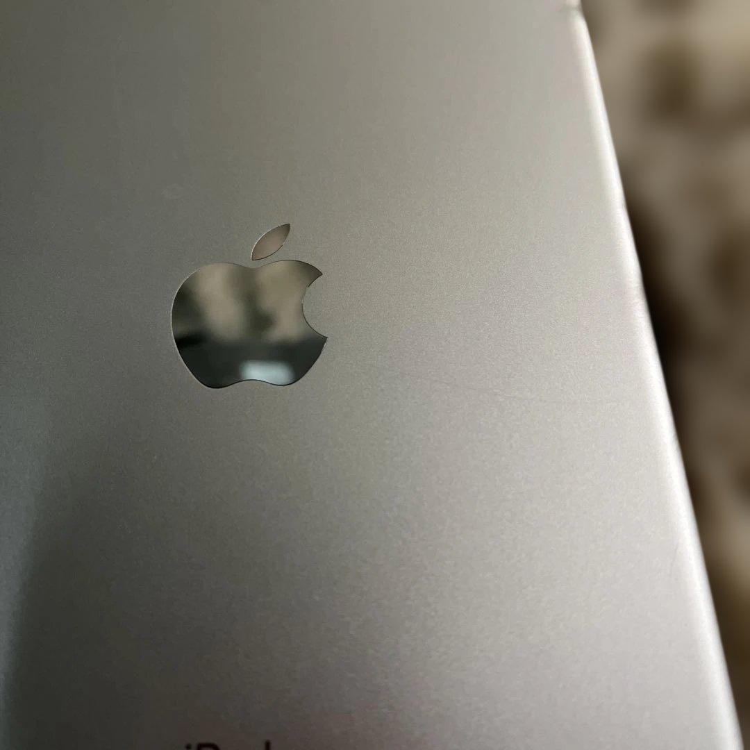 Apple iPad mini５Wi-Fi + Cellular シルバー 中古