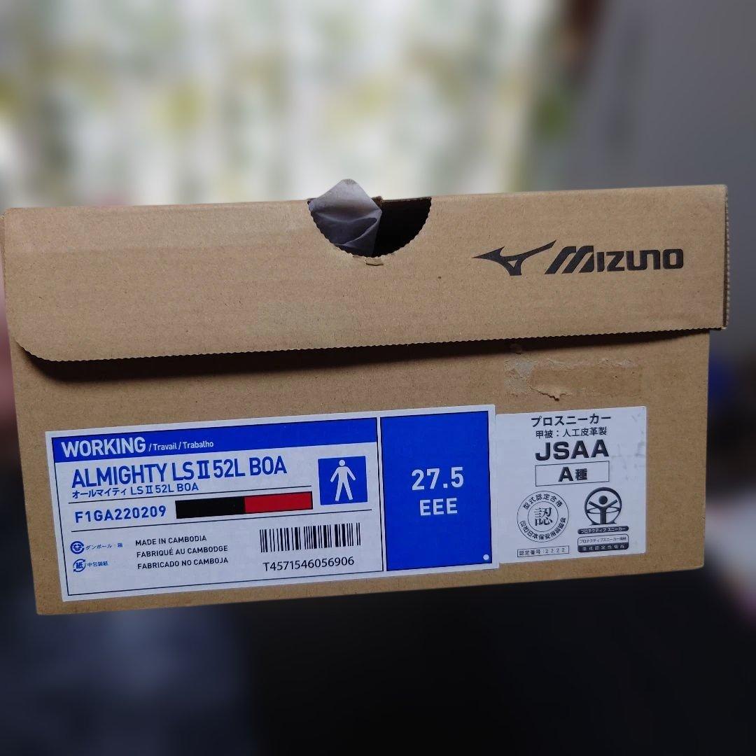 Mizuno BOA安全靴 27.5cm ミズノ　ブラック/レッド
