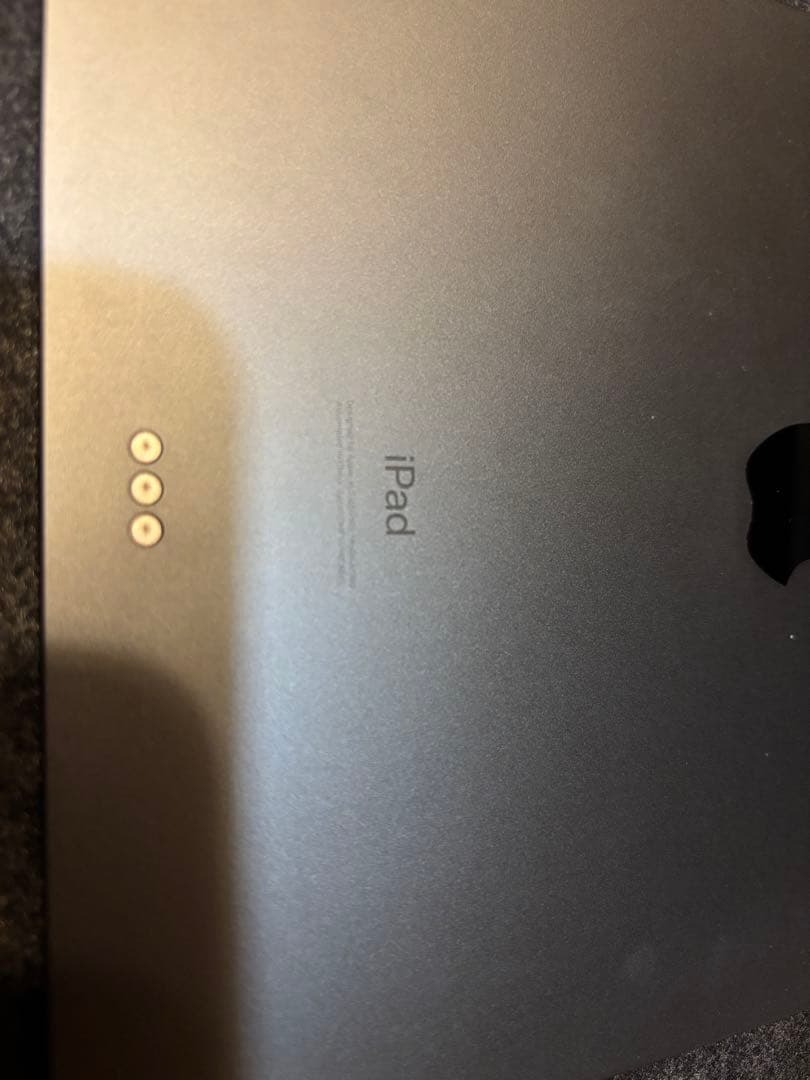 Ipad pro 第1世代 本体256GB