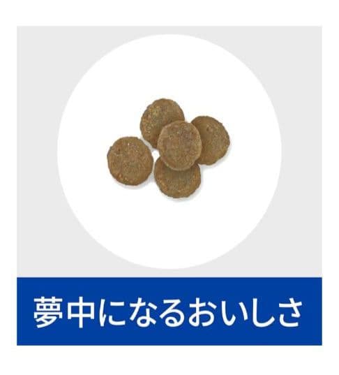 ヒルズ【食物アレルギーケア】ドッグフード ドライ・小粒１kg ×２袋セット
