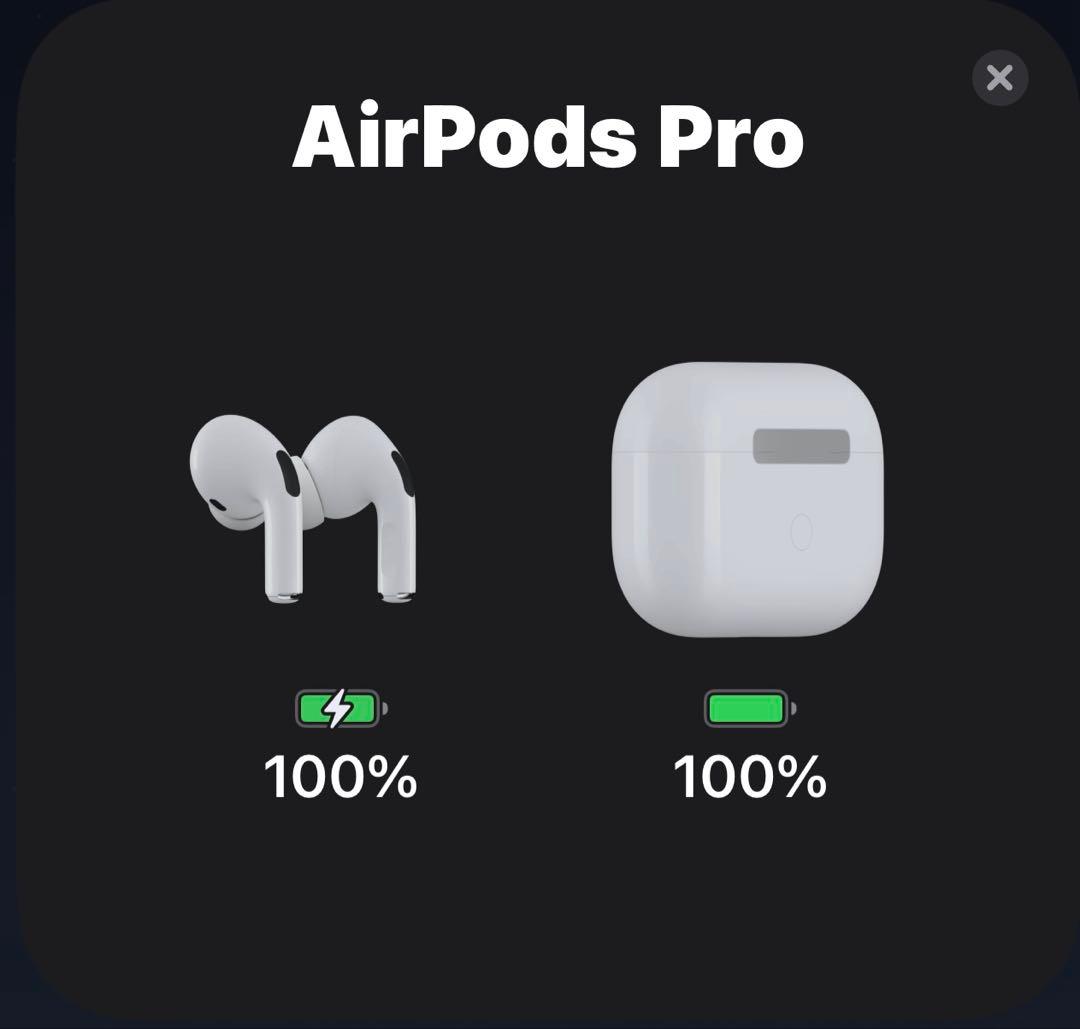 Airpods Pro 第一世代　正常動作品