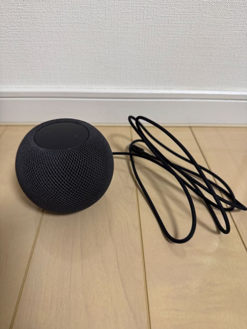 Apple pod mini スペースグレイ