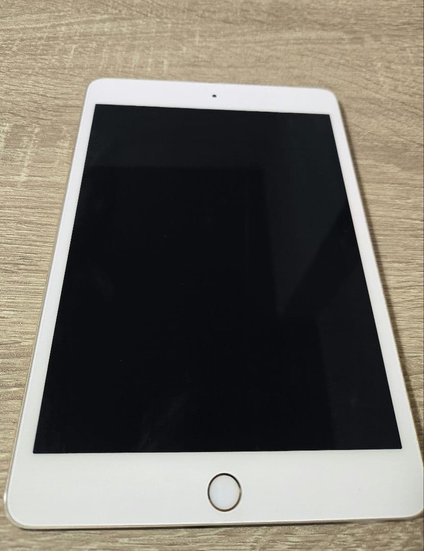 iPad mini4 本体