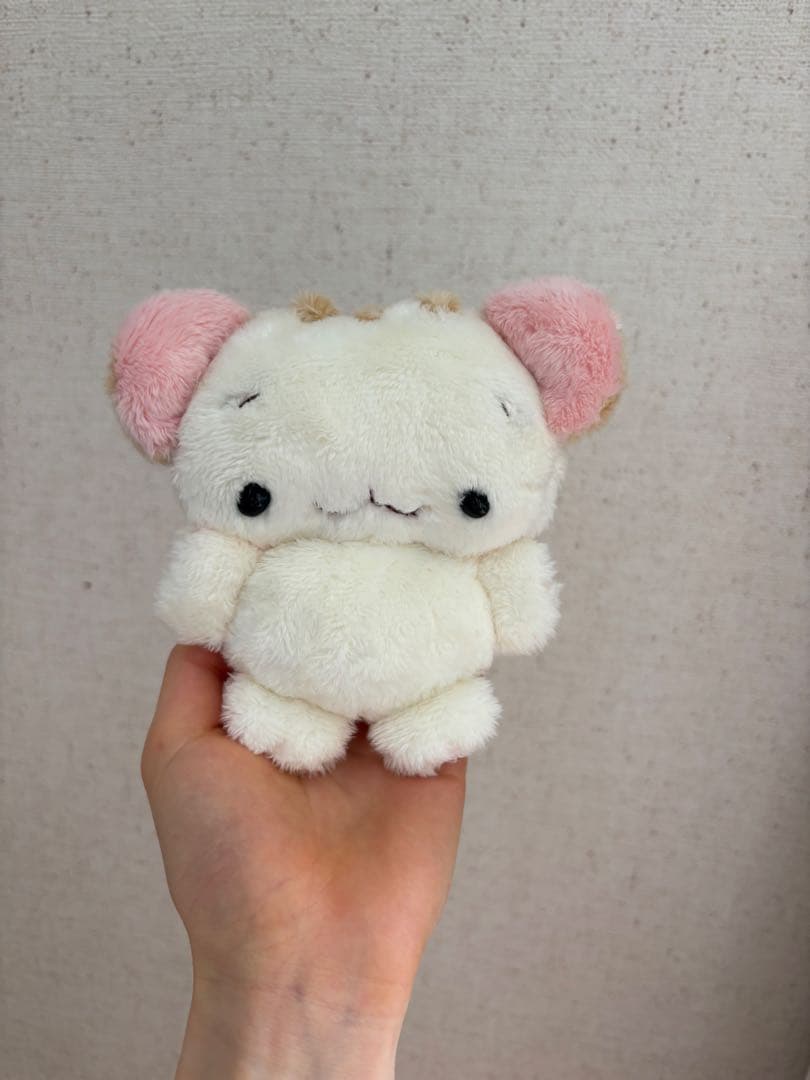 迷い猫 (きなこ) ①