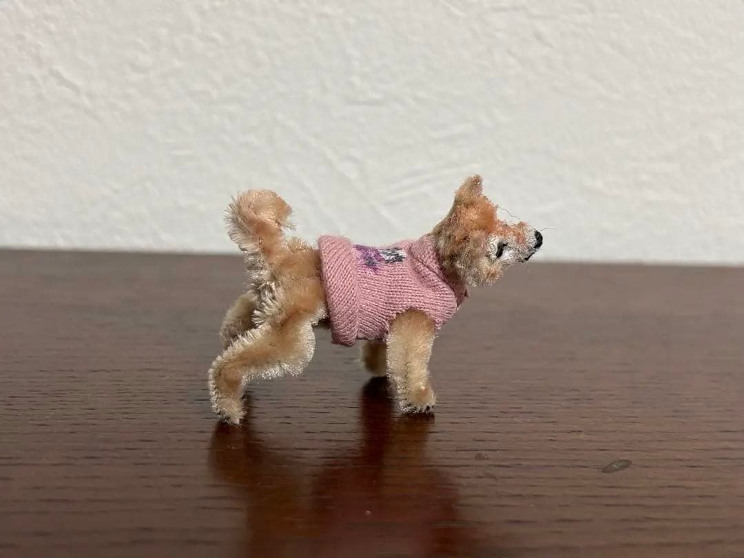 モールアート「 ん？」のお顔の柴犬ちゃん