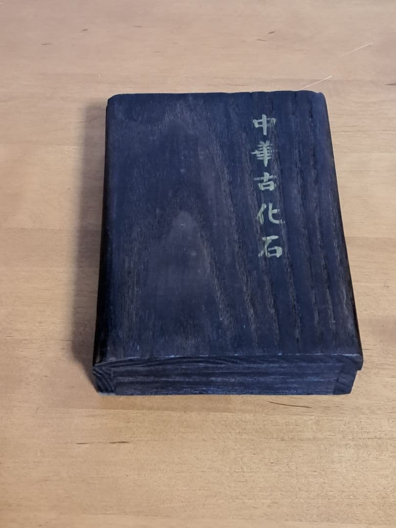 【化石】江漢魚 ニフテウス【第三紀】