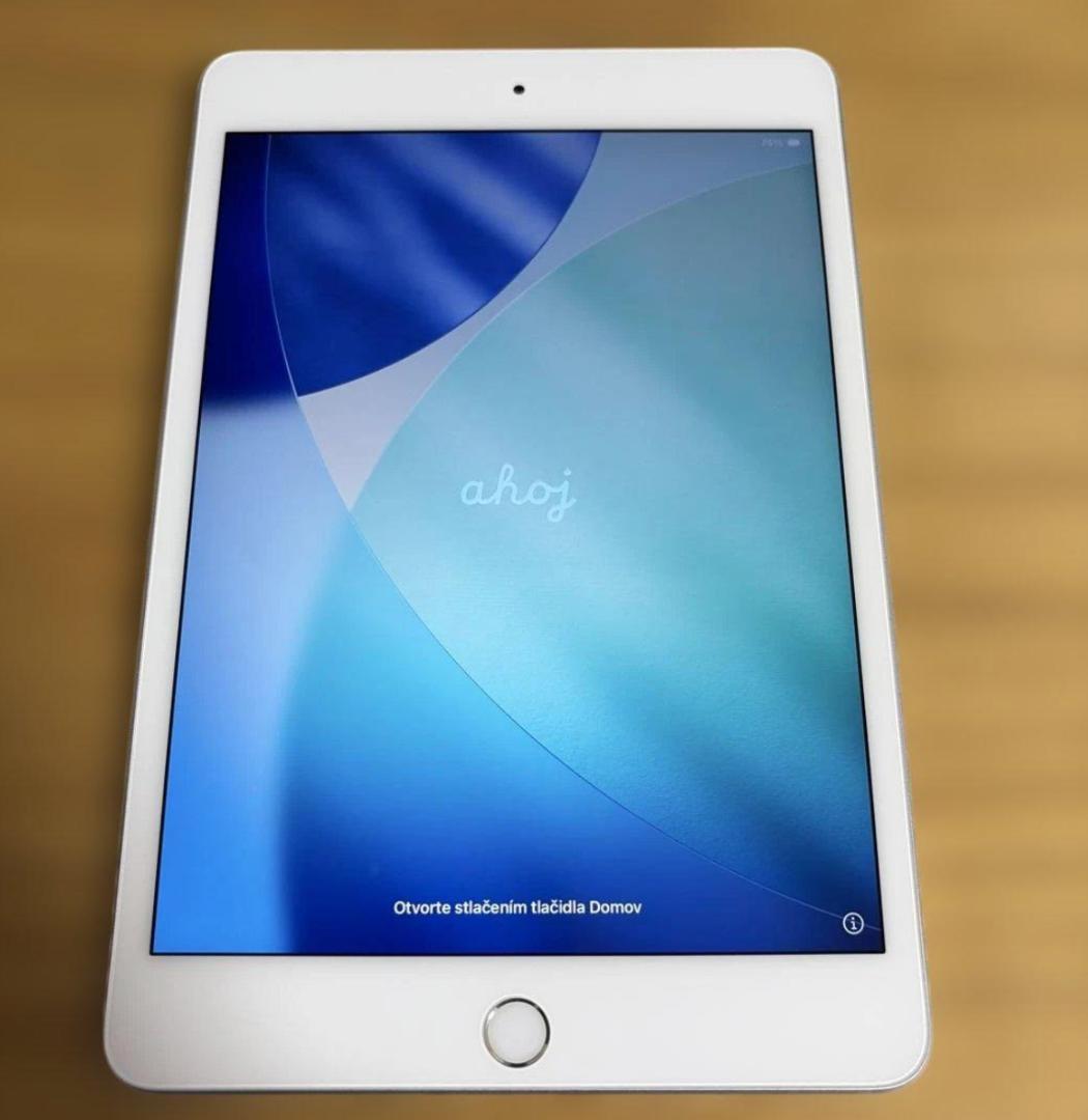 Apple iPad mini５Wifi+Cellular 64GB 純正pen